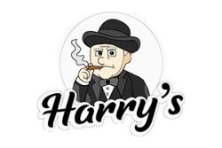 harry casino